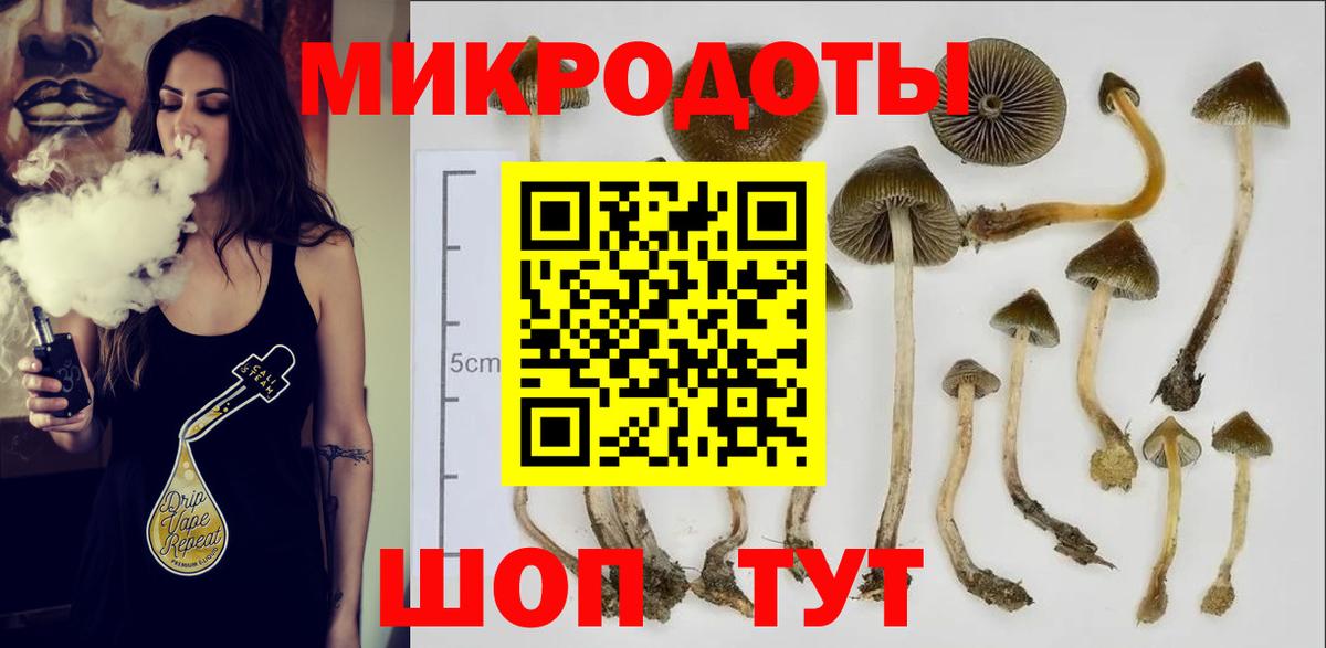 Псилоцибиновые грибы Magic Shrooms  Вход с VPN  Геленджик 